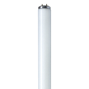 STANDARD® Generic 13795 Fluorescent Lamp, 40 W, G13 Medium Bi-Pin Fluorescent Lamp, 2000 Lumens, 95 CRI, 7500 K, 48 in L - 